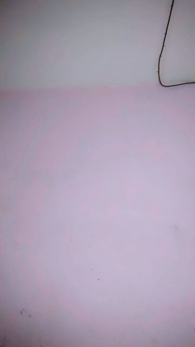 Armella2 live cam on Cam4
