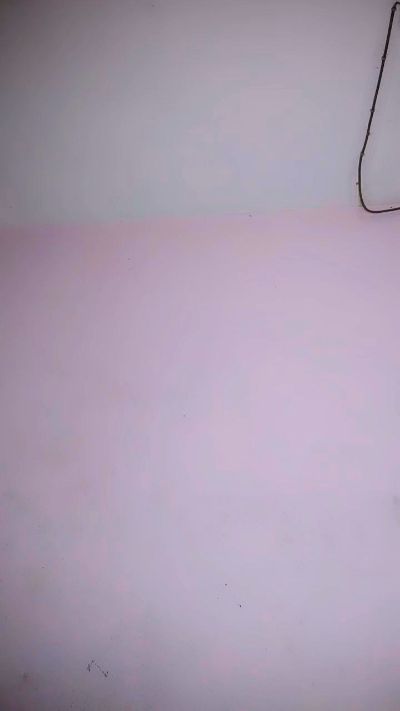 Armella2 live cam on Cam4