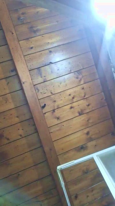 Arrettu87 live cam on Cam4
