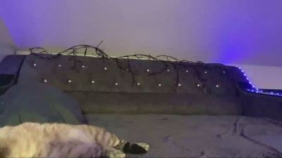 AshleaGiardini live cam on Cam4