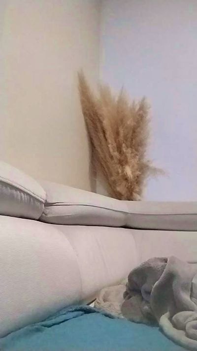 Asiancat83 live cam on Cam4