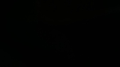 Averraverr69 live cam on Cam4