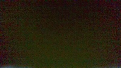BIRDY1383 live cam on Cam4