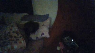 BLUE6923 live cam on Cam4