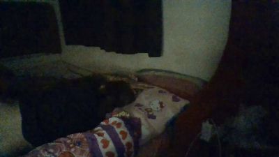 BLUE6923 live cam on Cam4
