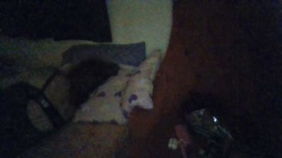 BLUE6923 live cam on Cam4