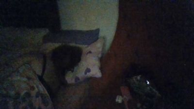 BLUE6923 live cam on Cam4