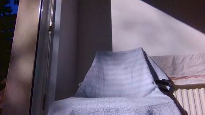 BadAssBzh56 live cam on Cam4
