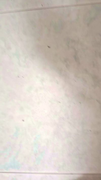 Baldan_79 live cam on Cam4