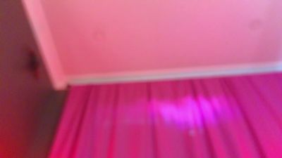 BarbaraFinch live cam on Cam4
