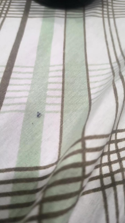 Bbnovinharj weiblich-Webcam live aus Brasilien