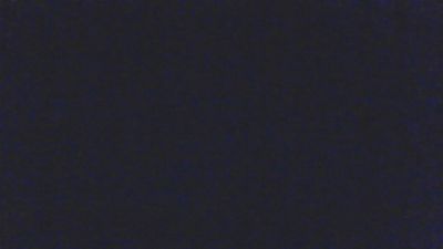 BearLovert live cam on Cam4