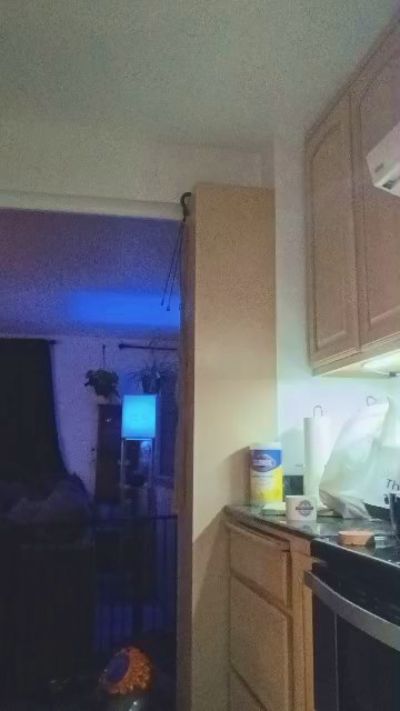 Beardedveteran live cam on Cam4
