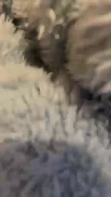 Bebitafiufiu live cam on Cam4