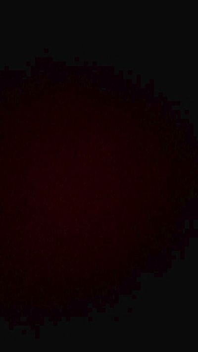 Bellanicole2020 live cam on Cam4