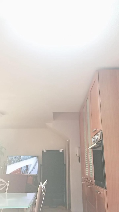 Bicasso live cam on Cam4