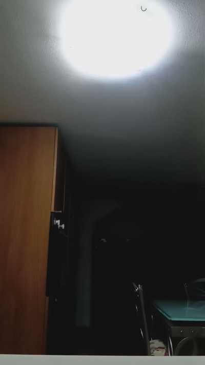 Bicasso live cam on Cam4