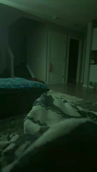 Bigal696979 live cam on Cam4