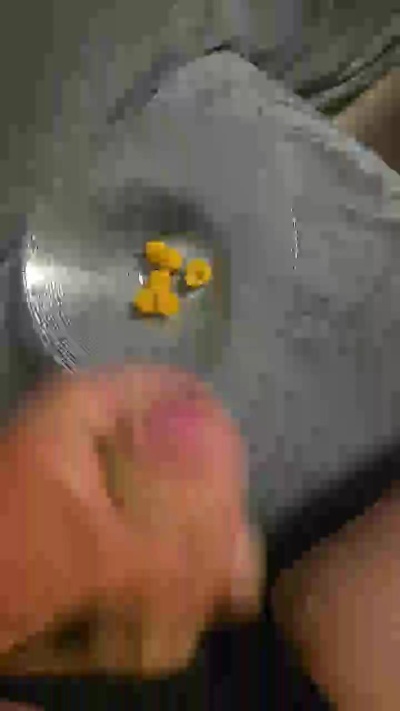 Bigdickeggs live cam on Cam4