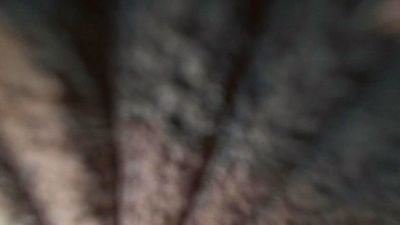 Bighairytopping live cam on Cam4