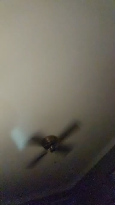 Billieman live cam on Cam4