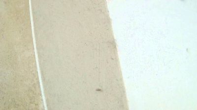Birbikrom live cam on Cam4