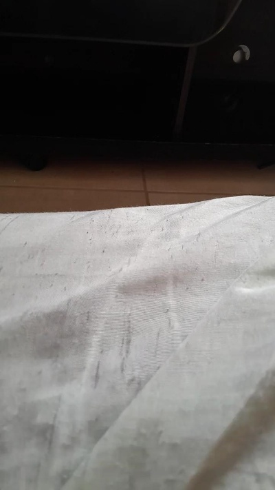 Black01 live cam on Cam4