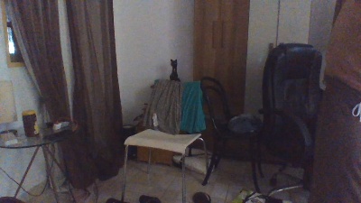 Bladun live cam on Cam4