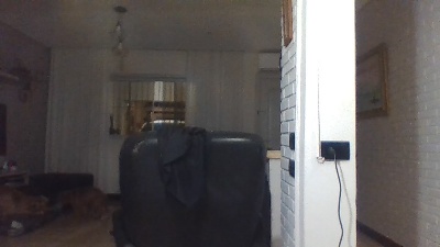 Blaidd live cam on Cam4