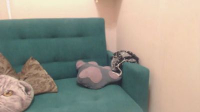 BlondyAndrea live cam on Cam4