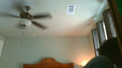 Bodacious_5200 live cam on Cam4