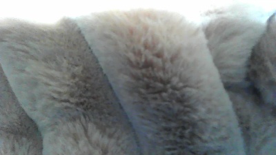 BooMer42I live cam on Cam4