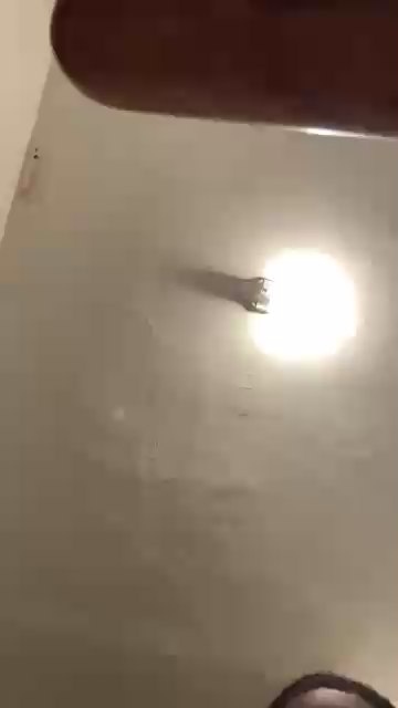 Bossjay6768