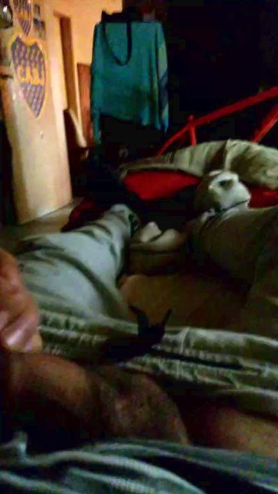 Bosteroeze live cam on Cam4