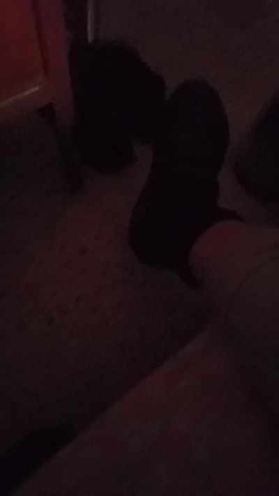 Bosteroeze live cam on Cam4