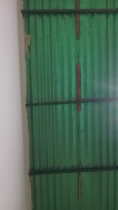 Braint2026 live male webcam from Venezuela