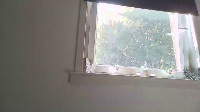 Brandyxo live cam on Cam4