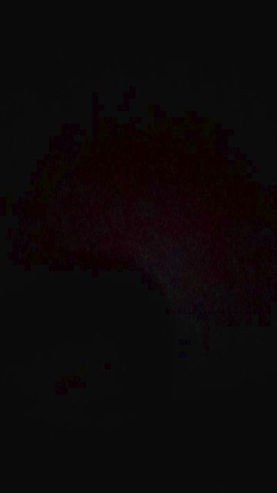 Brendasuare890 webcam
