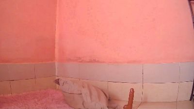 Briannah_ live cam on Cam4