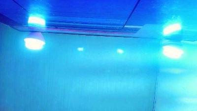BrittanyGomez_1 live cam on Cam4