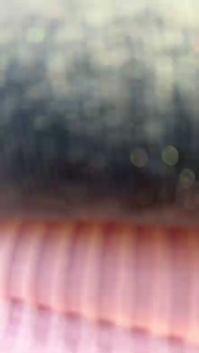 BusyGirl7 live cam on Cam4