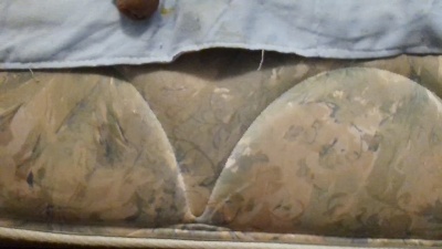 Butttslut live cam on Cam4