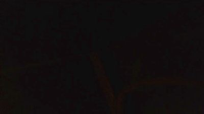 CRyan78 live cam on Cam4