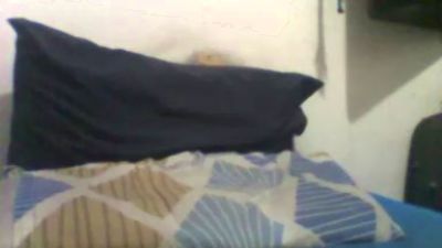 Cabache live cam on Cam4