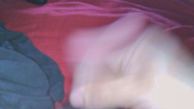 Calificopussy live cam on Cam4