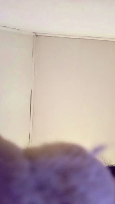 Camilitaxxxxxxx live cam on Cam4