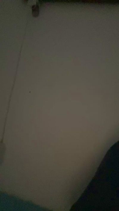 Capitansalami20 live cam on Cam4