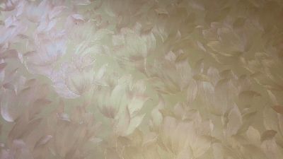 CassieScanneu live cam on Cam4