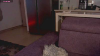 Channel_kox live cam on Cam4