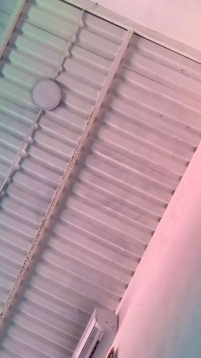 Charro1_q live cam on Cam4